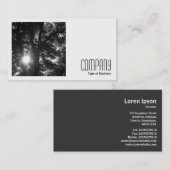 Carte De Visite Photo carré (v2) - Sun Through Trees B&W (Devant / Derrière)