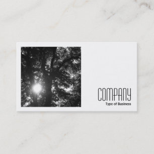 Carte De Visite Photo carré (v2) - Sun Through Trees B&W