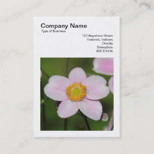 Carte De Visite Photo carré (v3) - Anémone rose
