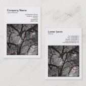 Carte De Visite Photo carré (v3) - Branches de l'arbre Magnolia (Devant / Derrière)