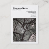 Carte De Visite Photo carré (v3) - Branches de l'arbre Magnolia (Devant)