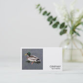 Carte De Visite Photo carré (v3) - Canard colvert (Debout devant)