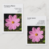 Carte De Visite Photo carré (v3) - Cosmos rose (Devant / Derrière)
