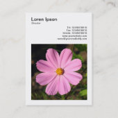 Carte De Visite Photo carré (v3) - Cosmos rose (Dos)