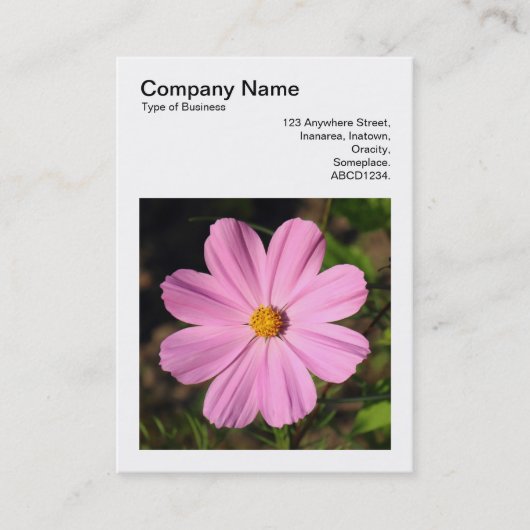 Carte De Visite Photo carré (v3) - Cosmos rose (Devant)