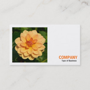 Carte De Visite Photo carré (v3) - Dahlia 'David Howard'