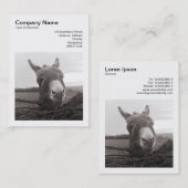 Carte De Visite Photo carré (v3) - Donkey amical (Devant / Derrière)