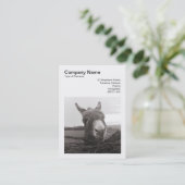 Carte De Visite Photo carré (v3) - Donkey amical (Debout devant)
