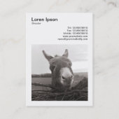 Carte De Visite Photo carré (v3) - Donkey amical (Dos)