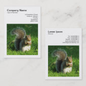 Carte De Visite Photo carré (v3) - Écureuil gris mangeant des noix (Devant / Derrière)