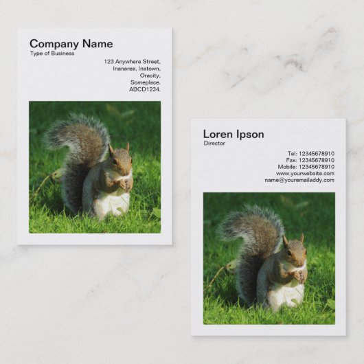 Carte De Visite Photo carré (v3) - Écureuil gris mangeant des noix (Devant / Derrière)