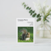 Carte De Visite Photo carré (v3) - Écureuil gris mangeant des noix (Debout devant)