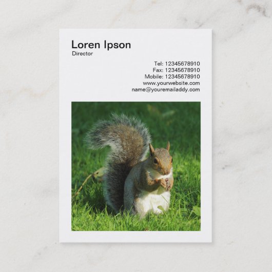 Carte De Visite Photo carré (v3) - Écureuil gris mangeant des noix (Dos)