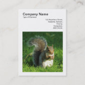 Carte De Visite Photo carré (v3) - Écureuil gris mangeant des noix (Devant)