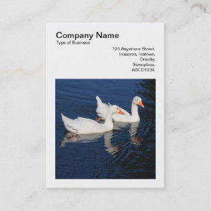 Carte De Visite Photo carré (v3) - Emden Geese