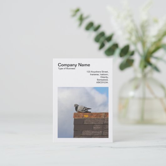 Carte De Visite Photo carré (v3) - Good Morning Pigeon (Debout devant)