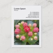Carte De Visite Photo carré (v3) - Kalanchoe Buds (Dos)
