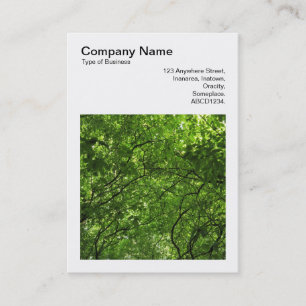 Carte De Visite Photo carré (v3) - L'été dans les arbres