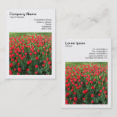 Carte De Visite Photo carré (v3) - Lit de tulipes rouges 01 (Devant / Derrière)