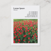 Carte De Visite Photo carré (v3) - Lit de tulipes rouges 01 (Dos)