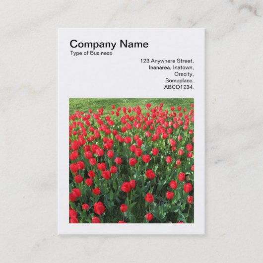 Carte De Visite Photo carré (v3) - Lit de tulipes rouges 01 (Devant)