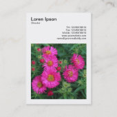 Carte De Visite Photo carré (v3) - Michaelmas Daisies 01 (Dos)