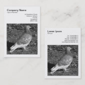 Carte De Visite Photo carré (v3) - Pigeon BW (Devant / Derrière)