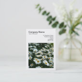 Carte De Visite Photo carré (v3) - Shasta Daisies (Debout devant)
