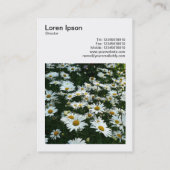 Carte De Visite Photo carré (v3) - Shasta Daisies (Dos)