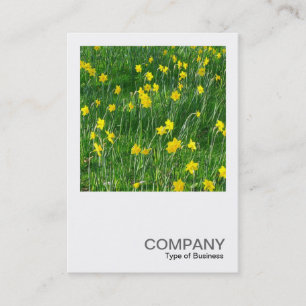 Carte De Visite Photo Carrée 0201 - Jonquilles/Narcisses