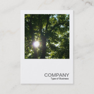 Carte De Visite Photo carrée 0254 - Sun par des arbres