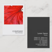 Carte De Visite Photo carrée 0352 - feuille d'érable japonais (Devant / Derrière)