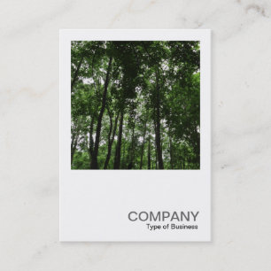 Carte De Visite Photo Carrée 0412 - Canopée de la Forêt 02