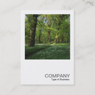 Carte De Visite Photo Carrée 0472 - Le Printemps dans les Bois