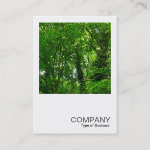 Carte De Visite Photo carrée 094 - Arbres au printemps