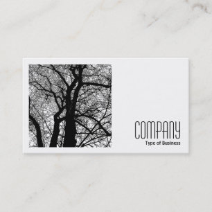 Carte De Visite Photo carrée (v2) - Arbre à contraste élevé