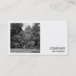 Carte De Visite Photo carrée (v2) - Arbres, Bute Park, Cardiff
