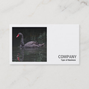 Carte De Visite Photo carrée (v2) - Cygne noir