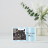 Carte De Visite Photo Cat (Debout devant)