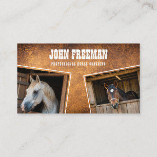 Carte De Visite Photo Cheval Brown & Blanc moderne Equine