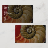 Carte De Visite Photo de coquille de Nautilus (Devant / Derrière)