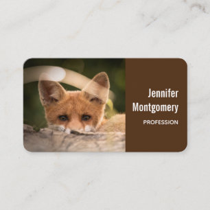 Carte De Visite Photo de Cute Little Orange Fox