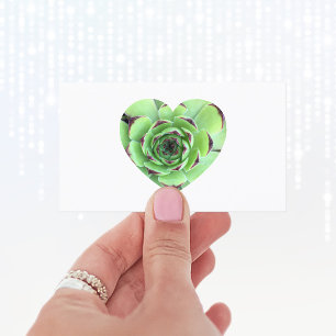 Carte De Visite Photo de forme de coeur de succulente verte