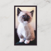 Carte De Visite Photo de l'espace professionnel de protection des  (Devant)