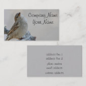 Carte De Visite Photo de moineau (Devant / Derrière)