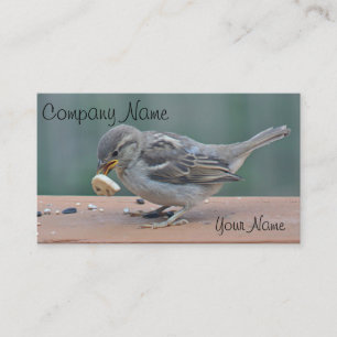 Carte De Visite Photo de moineau