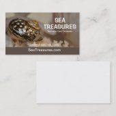 Carte De Visite Photo de Starfish et Seashells (Devant / Derrière)