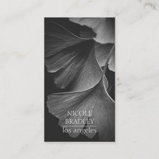 Carte de visite photo de Still Life (Devant)