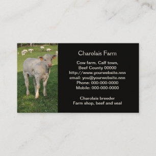 Carte De Visite Photo de veau de charolais blanc crémeux