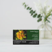 Carte De Visite Photo - Dk Green - Primroses (Debout devant)